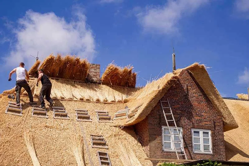 Two individuals on a Thatch roof